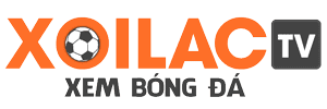 cách nấu bò kho ngon
